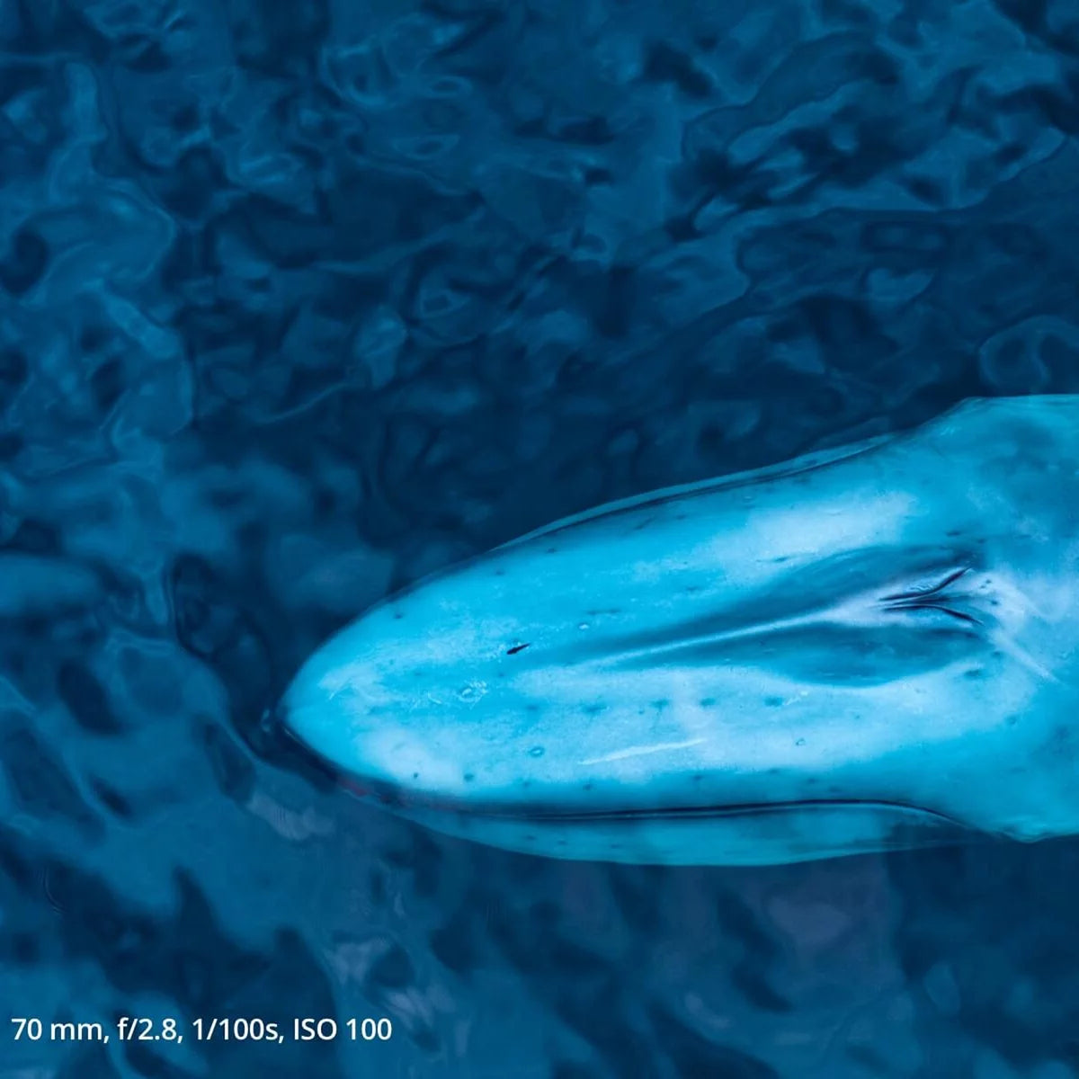 Mavic 3 Pro Cine Drone Premium Combo with RC Pro (CP.MA.00000664.01)